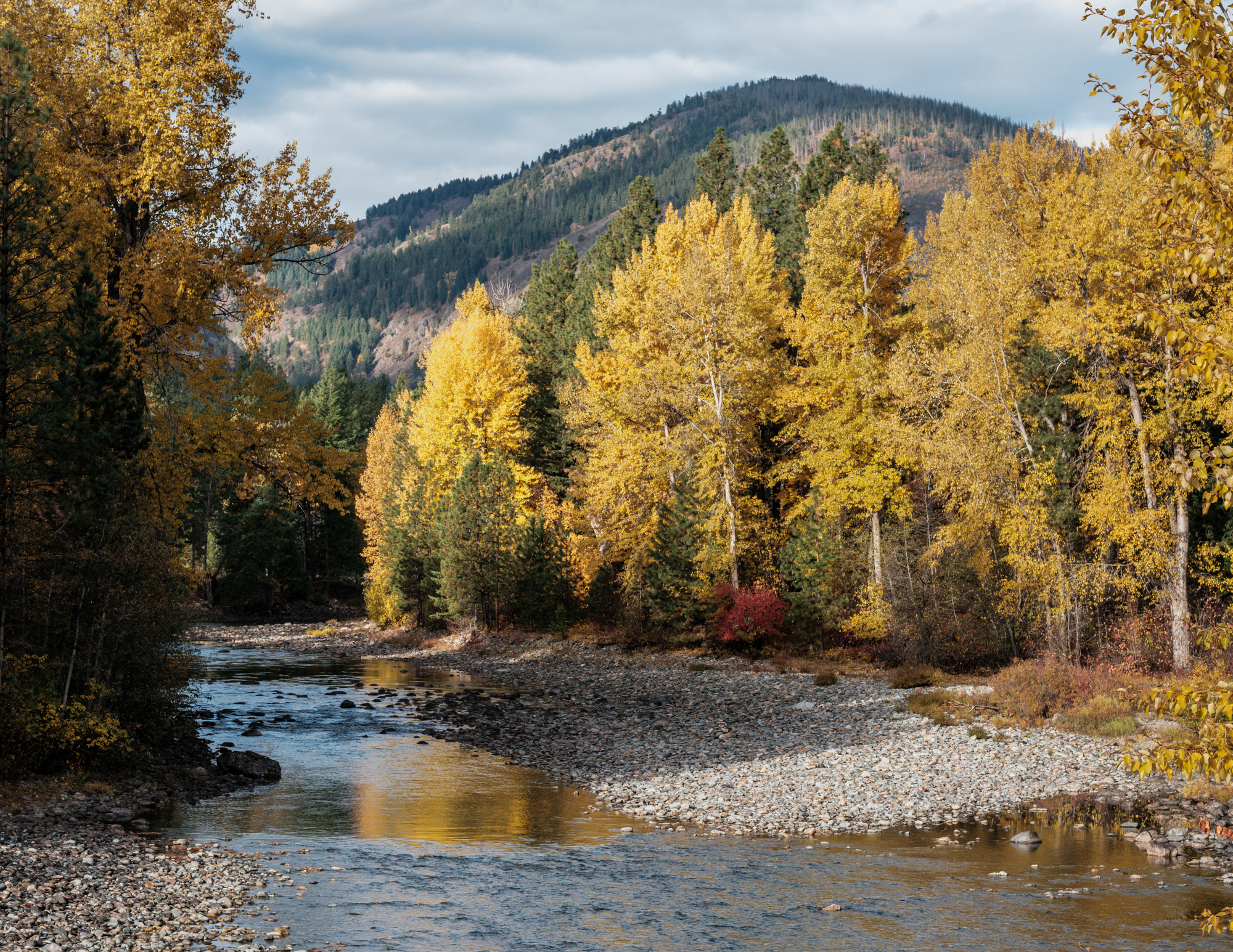 The Methow River near Mazama, Washington