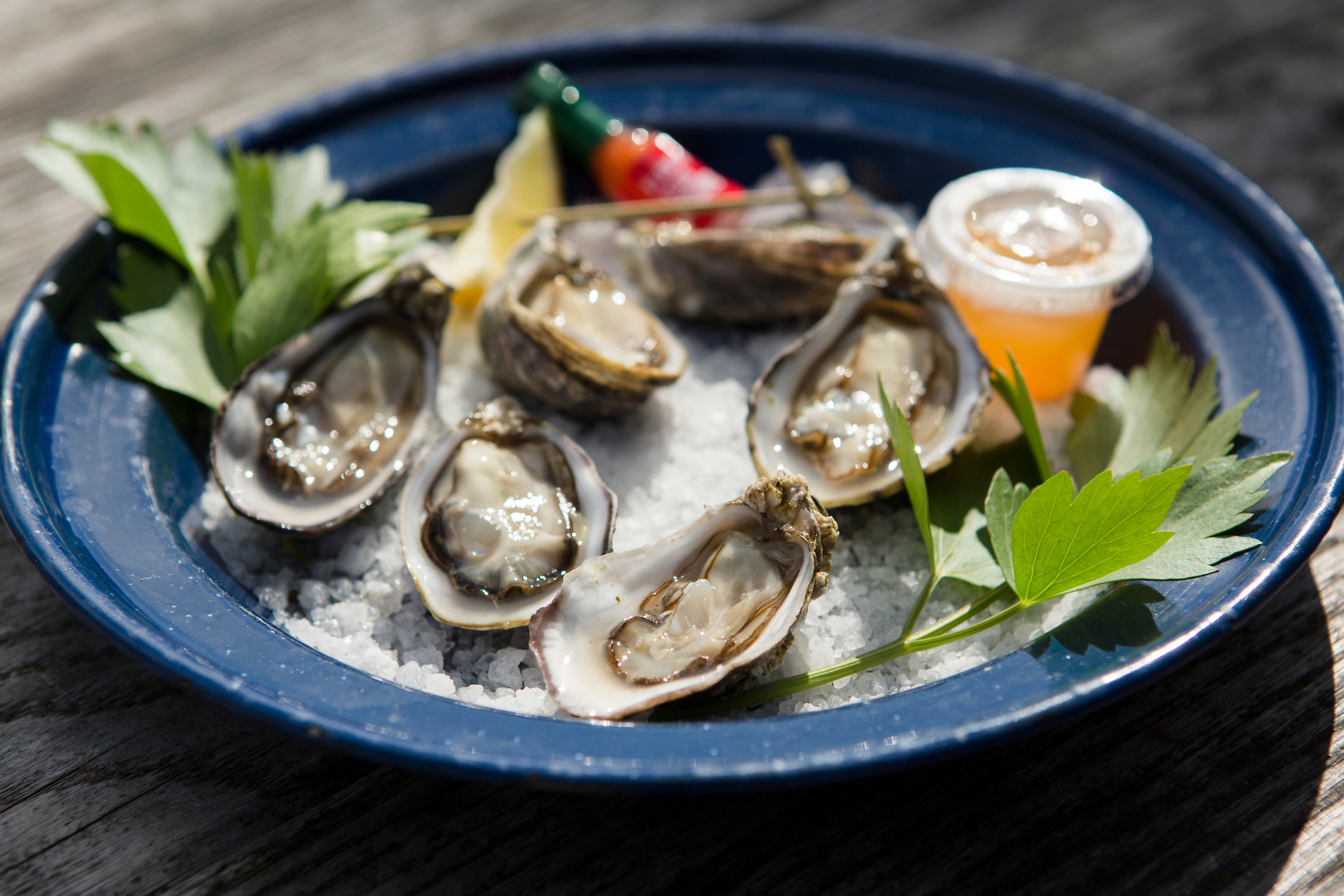 A plate of raw oysters on a bed of salt